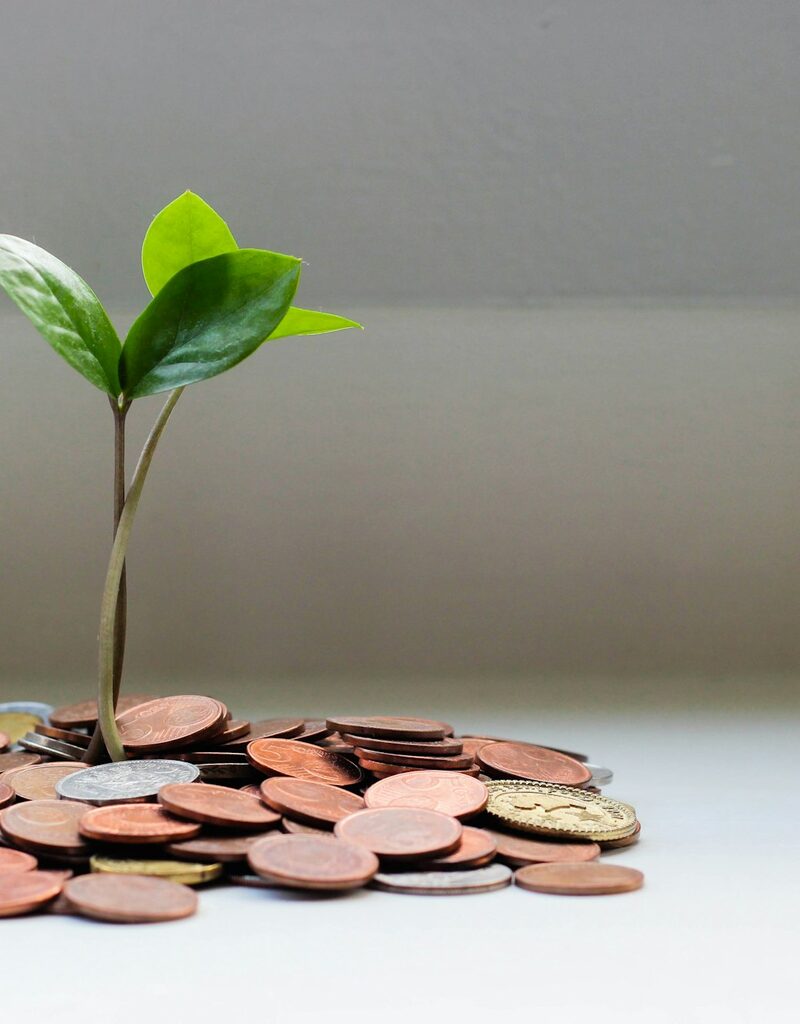 Plant groeit uit munten